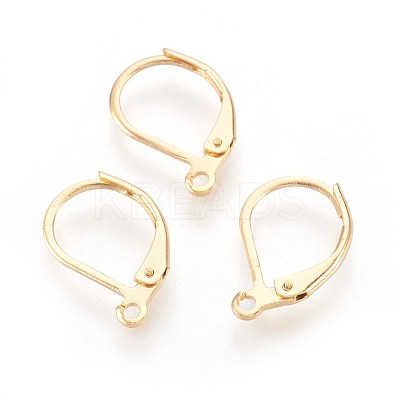 304 Stainless Steel Leverback Earrings Findings X-STAS-F188-10G-1