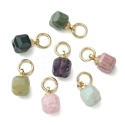 Natural Mixed Gemstone Pendants PALLOY-JF05297-02-1