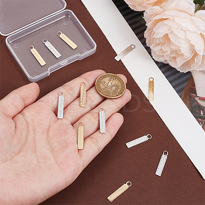 12Pcs 2 Colors 304 Stainless Steel Pendants FIND-UN0003-79-1