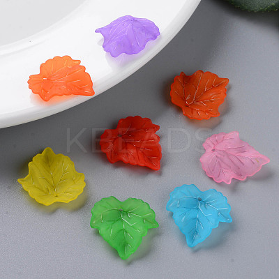 Autumn Theme Transparent Frosted Acrylic Pendants X-PAF002Y-1