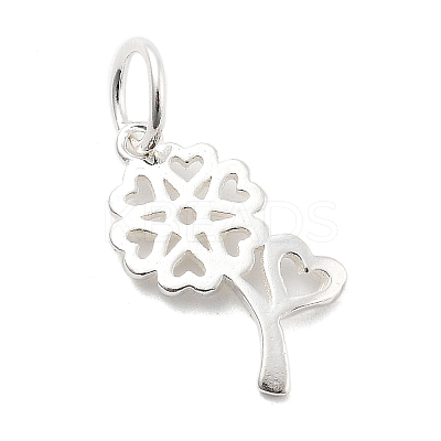 925 Sterling Silver Charms STER-S009-01A-S-1