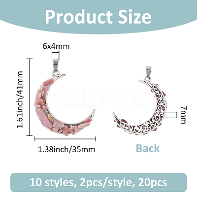20Pcs 10 Styles Natural Mixed Stone Chip Pendants PALLOY-FH00070-1