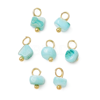 Dyed Natural Freshwater Shell Nuggets Charms PALLOY-JF05032-01-1