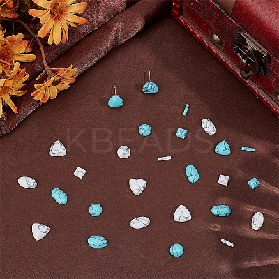 120Pcs 10 Styles Dyed Synthetic Turquoise Cabochons TURQ-PH0001-18-1