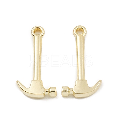 Alloy Pendants PALLOY-K003-10LG-1