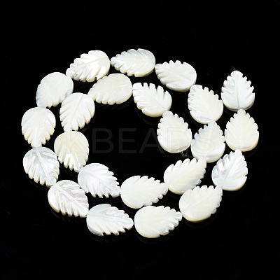 Natural Trochid Shell/Trochus Shell Beads Strands SSHEL-N034-136B-01-1