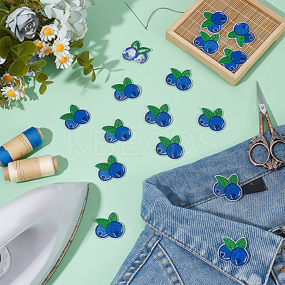 24Pcs Blueberry Computerized Embroidery Cloth Iron On/Sew On Patches PATC-BC0001-24-1
