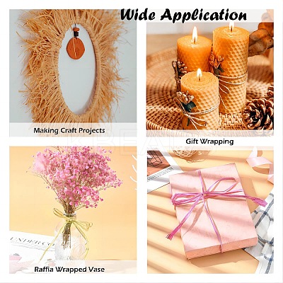 Raffia Ribbon SENE-PW0003-104B-1