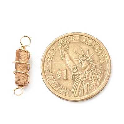 Natural Picture Jasper Connector Charms PALLOY-JF01580-04-1