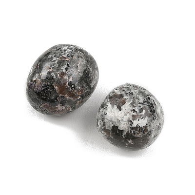Natural Syenite Beads G-G348-01B-46-1