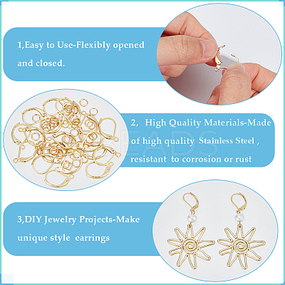 80Pcs 304 Stainless Steel Leverback Earring Findings STAS-SP0001-13-1