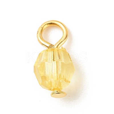 Faceted Transparent Acrylic Charms PALLOY-JF01601-02-1