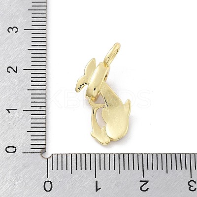 Brass Micro Pave Cubic Zirconia Pendants KK-Z098-07G-01-1