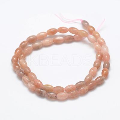 Natural Sunstone Beads Strands G-P322-04-1