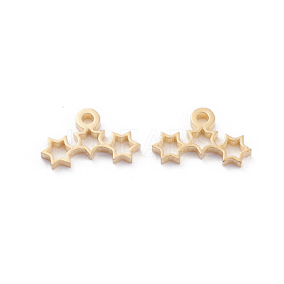 304 Stainless Steel Charms LS-STAS-I151-12G-1