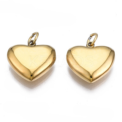 316 Surgical Stainless Steel Charms STAS-N097-045-1