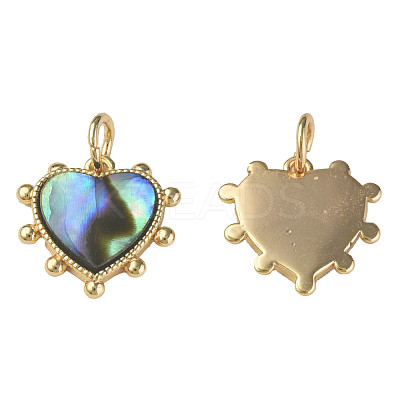 Synthetic Abalone Shell/Paua Shell Charms KK-N233-216-1