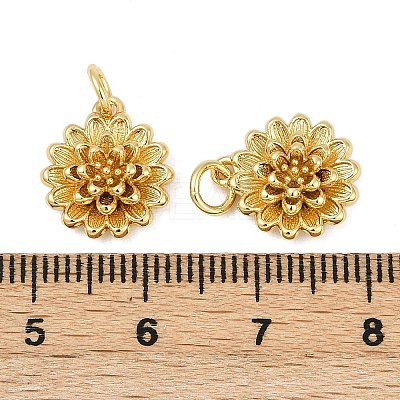 Brass Charms KK-S527-12G-1