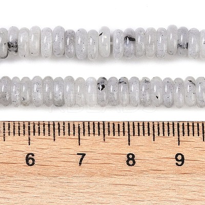 Natural Labradorite Beads Strands G-Q159-B10-01-1