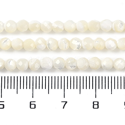 Natural Shell Beads Strands SSHEL-E571-38B-4mm-1