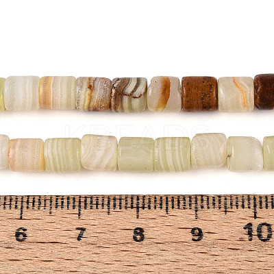 Natural Green Banded Calcite(Afghan Jade) Beads Strands G-T141-94A-1