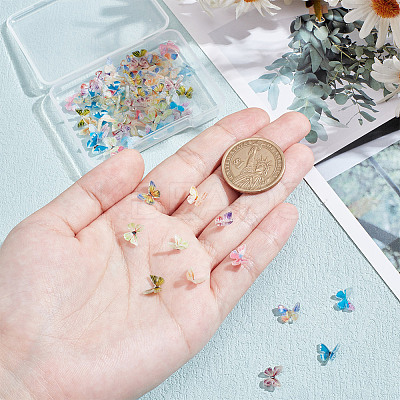 72Pcs 12 Colors 3D Resin Cabochons MRMJ-FI0001-01-1