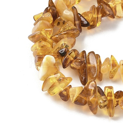 Natural Amber Beads Strands G-L095-D01-01-1
