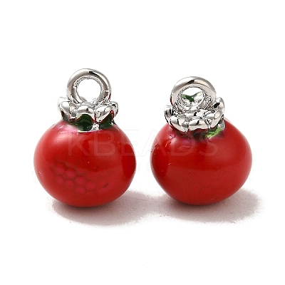 Brass Enamel Charms KK-S368-02P-02-1