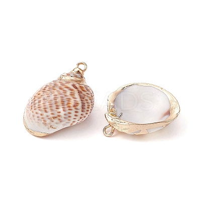 6Pcs 6 Styles Electroplated Natural Spiral Shell Pendants SSHEL-YW0001-06-1