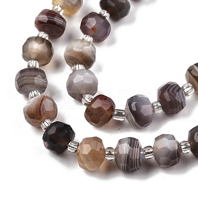 Natural Botswana Agate Beads Strands G-N327-08N-1