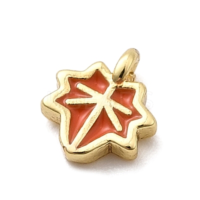 Brass Enamel Charms KK-P338-30G-04-1