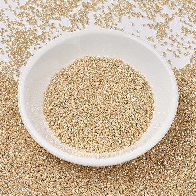 MIYUKI Delica Beads SEED-MY11-DB1561-1
