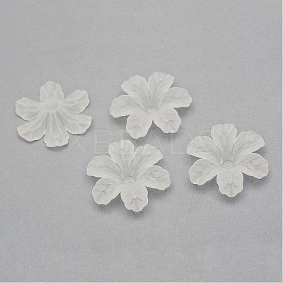 Transparent Acrylic Beads FACR-Q009-09H-1