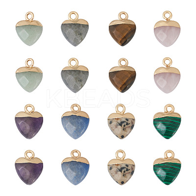 16Pcs 8 Styles Natural & Synthetic Gemstone Charms G-FW0001-34-1