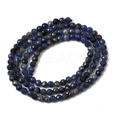 Natural Sodalite Bead Strands G-P279-58-3mm-01-1