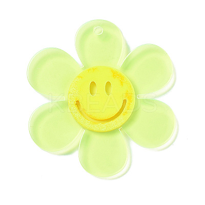 Transparent Acrylic Big Pendants OACR-P012-A04-1