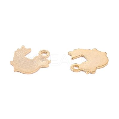 201 Stainless Steel Charms STAS-B001-41G-1