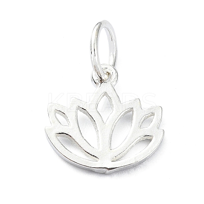 925 Sterling Silver Charms LS-STER-M119-10S-1