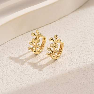 Simple Geometric Brass Hoop Earrings CV3408-3-1