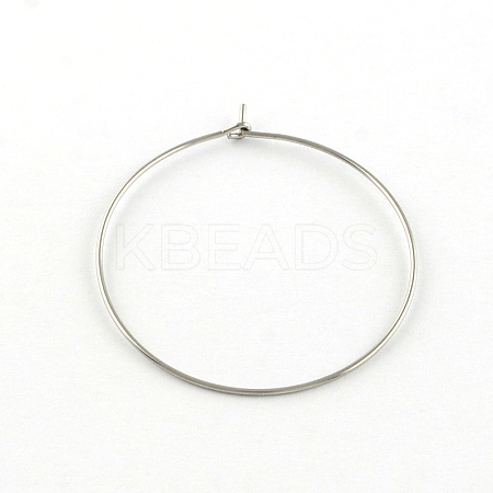 Tarnish Resistant 304 Stainless Steel Earring Hoop LS-STAS-R083-01-1