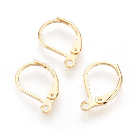 304 Stainless Steel Leverback Earrings Findings X-STAS-F188-10G-1