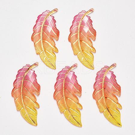 Transparent Acrylic Big Pendants LS-X-TACR-R140-03F-1