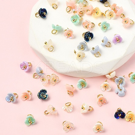 50Pcs Resin Pendants PALLOY-YW00104-01-1