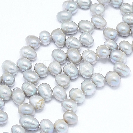 Natural Cultured Freshwater Pearl Beads Strands PEAR-G004-03C-01A-X-1