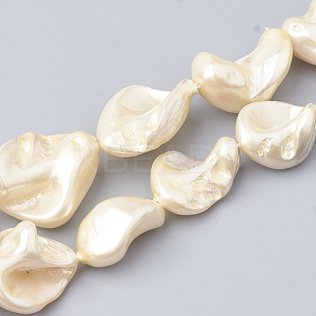 Shell Pearl Beads Strands X-BSHE-Q031-15H-1
