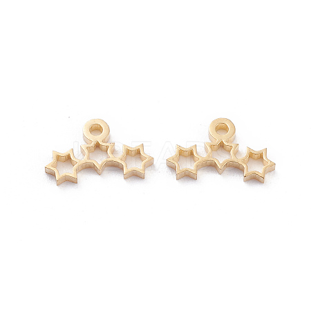 304 Stainless Steel Charms LS-STAS-I151-12G-1
