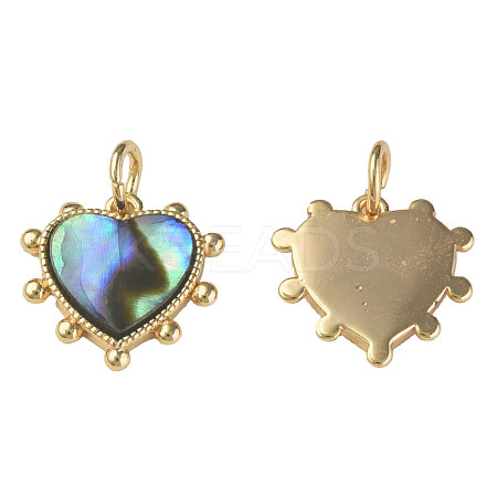 Synthetic Abalone Shell/Paua Shell Charms KK-N233-216-1