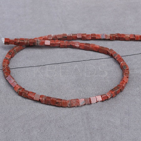 Natural Red Sesame Jasper/Kiwi Jasper Beads Strands G-WH0009-08-1