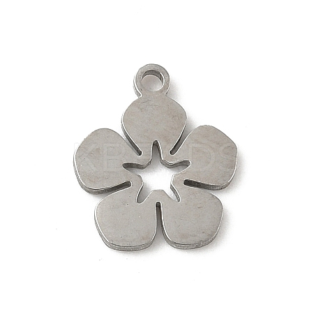 304 Stainless Steel Charms LS-STAS-G355-15P-1
