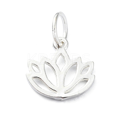 925 Sterling Silver Charms LS-STER-M119-10S-1